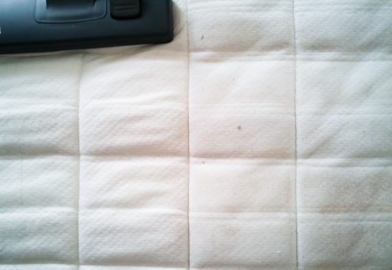 action-allergy-asians-bed-careful-chemical-cleaner-cleaning-cleanliness-dirty-drawing-dust-equipment_t20_xXVvwB